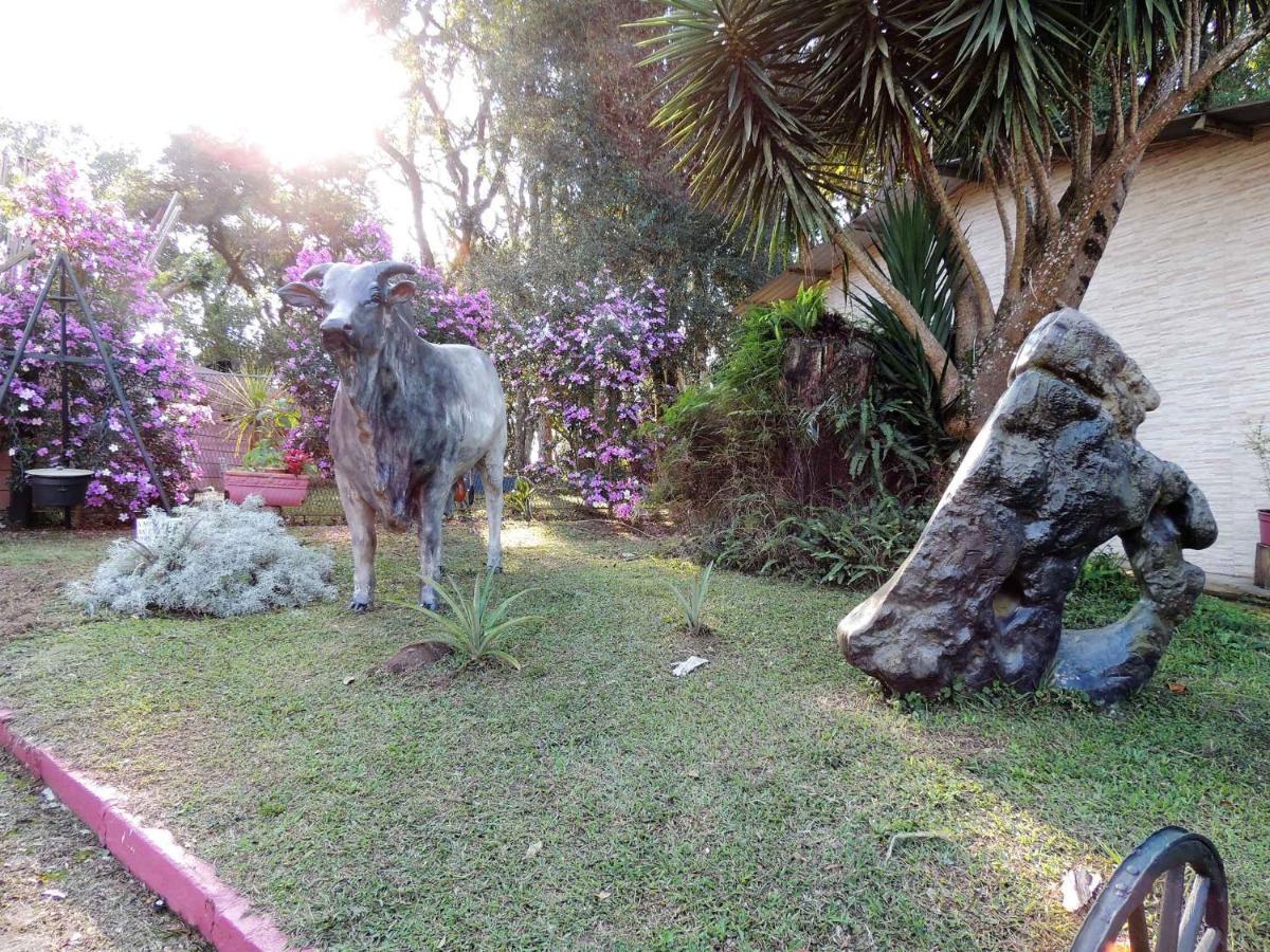 Pousada Juriti - Eco Hotel Sao Roque  Ngoại thất bức ảnh